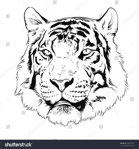 Bengal Tiger Line Art Images Stock Photos And Vectors Shutterstock