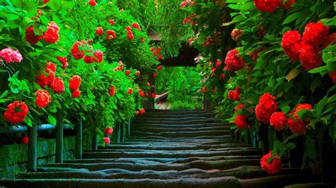 Romantic Nature Wallpapers Top Free Romantic Nature Backgrounds