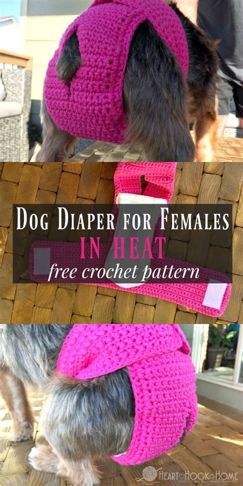 Free diapers & free baby swag: Female Dog Diaper for Dogs in Heat: Free Crochet Pattern