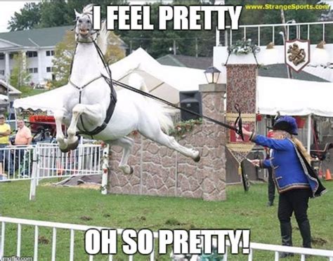 Pin On Favorite Horse Memes