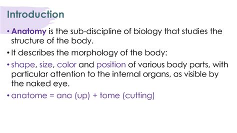 Solution Introduction And Anatomical Terms Studypool