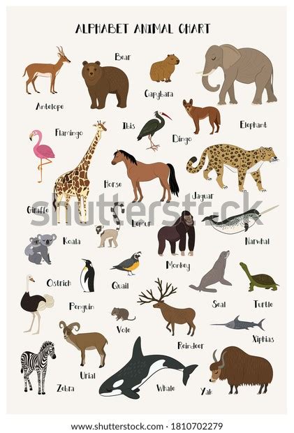 341 Alphabet Animal Chart Images Stock Photos 3d Objects And Vectors