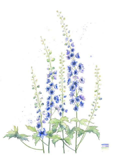 Larkspur July Birthday Birth Month Flower Watercolor Etsy