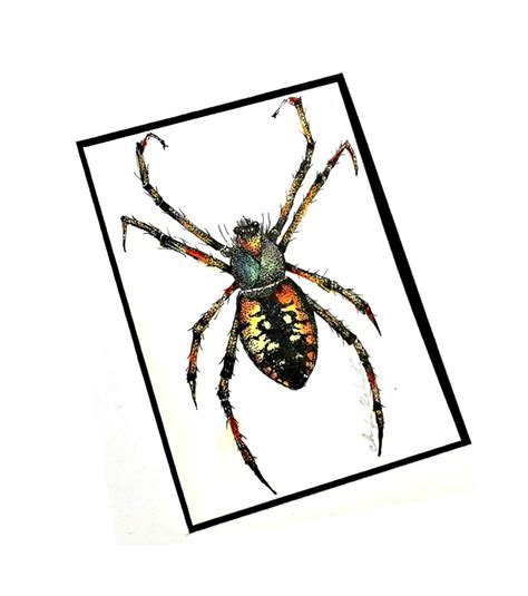 Spider Original Drawing Framed Ink And Watercolor Drawing Etsy