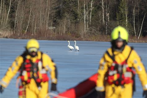 I denne utgaven av nordre follo podden møter vi nordre follos nye kommunedirektør øyvind henriksen som forteller om sine første dager i jobben. Redningsaksjon, Nordre Follo | Fikk melding om ...