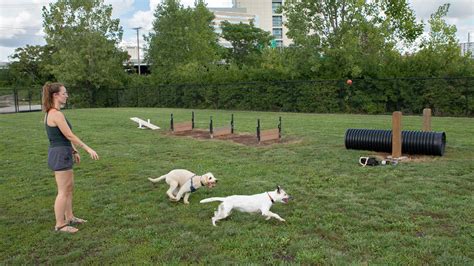 Check out these Columbus and Franklin County dog parks