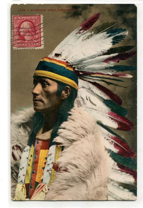 Standing Wolf Native American Indian Chief Cheyenne Postcard American