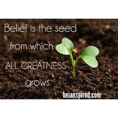 Belief Is The Seed From Which All Greatness Grows ~be Ian Special