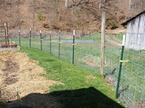 Hog wire fence around the garden dakotaunlimited.com. Intermittent Farm Report: Garden Fencing - Let Me Count ...