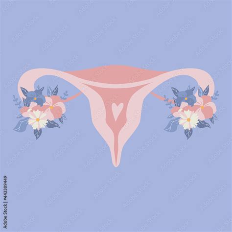 female reproductive system womb ovary vagina scheme hand drawn uterus with flowers