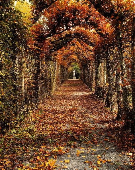 Autumn At Birr Castle County Offaly Ireland Pretty Places Beautiful
