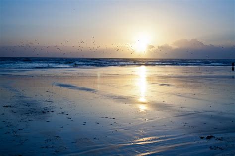 картинки пляж море берег песок океан горизонт небо солнце Восход закат солнца