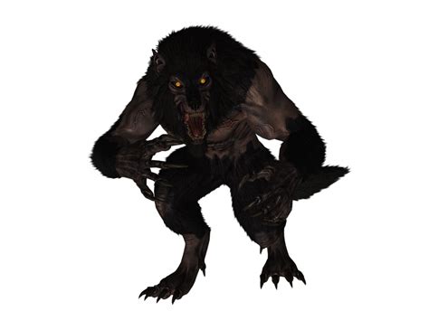 Werewolf Png Transparent Image Download Size 1032x775px