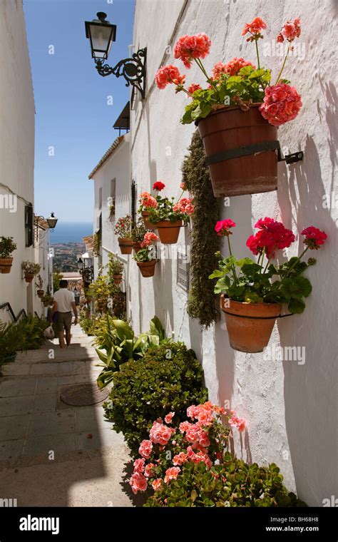 Calle Flores Pueblo Blanco De Mijas Costa Del Sol Málaga Andalucía España Street Flowers White