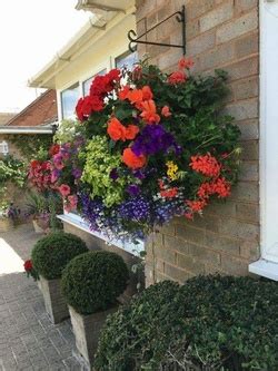 This link is to an external site that may or may not. Hanging basket ideas