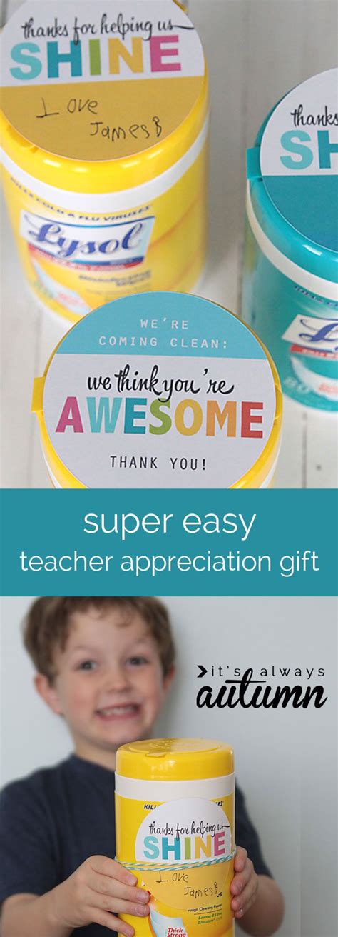 Cheap Easy And Practical Teacher Appreciation T Sanitizing Wipes