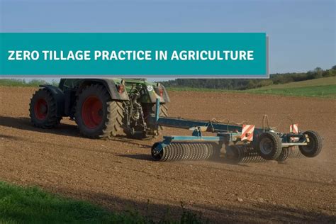 Zero Tillage Practice In Agriculture