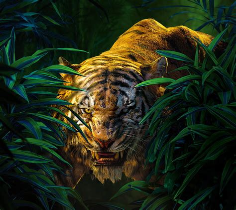 Tiger Jungle Bengal Animal Hd Wallpaper Peakpx