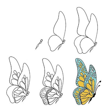 How To Draw A Beautiful Butterfly Step By Step Drawing Photos