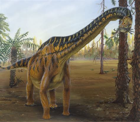 Dinosaurio Herbívoro Ecured