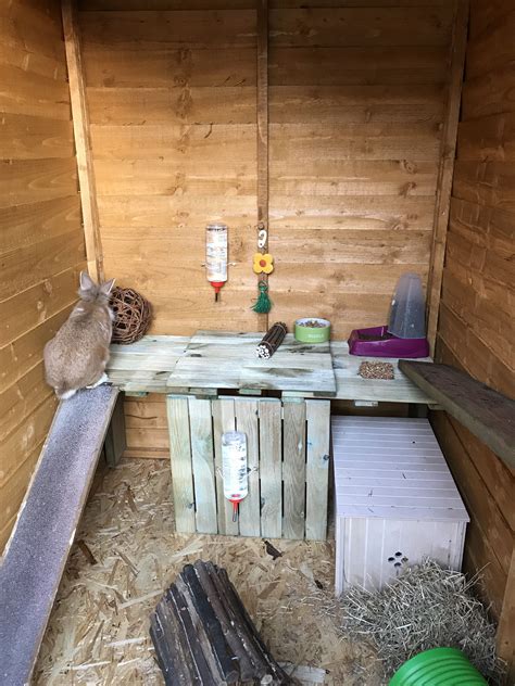 Homemade Rabbit Shed Rabbit Shed Pet Bunny Rabbits Rabbit Hutches