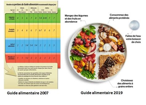 Tout savoir sur le nouveau Guide alimentaire canadien 2019 - NutriVie Santé