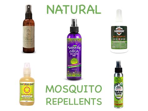 These repellents involve diluting essential oils that the insects find distasteful or that confuse them. Natural Mosquito Repellents | Homemade Mosquito Repellent ...