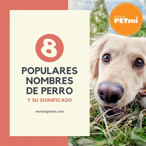 8 Nombres Populares De Perro Y Su Significado Que Seguro No Conocías Y