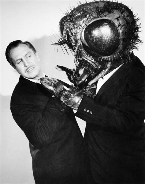 Film The Fly 1958 By Granger