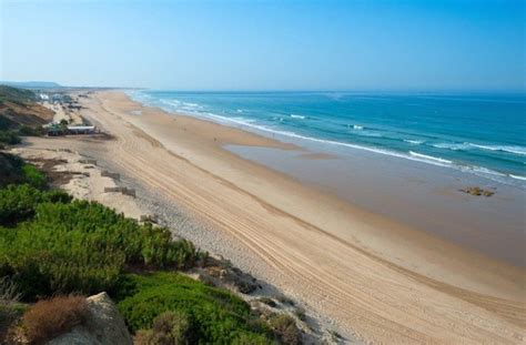 ¡reserva ahora tu apartamento turístico cerca de la playa! La Fontanilla beach cleaning Conil | Fuerte Hoteles