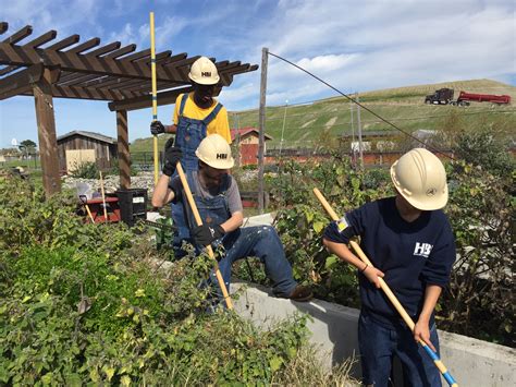 Urban Farm Maintenance