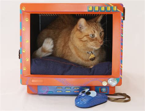 As the technologies are increasingly emerging, so is the number of ways to make money! DIY Cat Bed From a Computer Monitor | Home Design, Garden ...