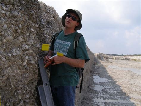 Get To Know Floridas Fossil Pearls Research News