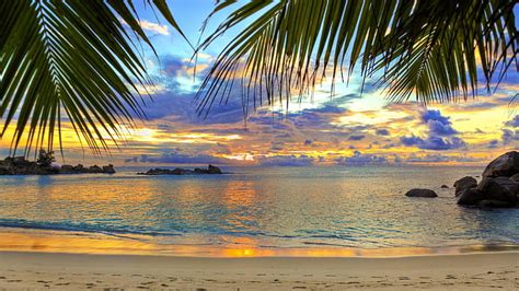 Hd Wallpaper Sunrise Palms Beach Sandy Beach Shore Water Sea