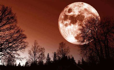 You Are About To Witness A Record Breaking Supermoon The Biggest Of