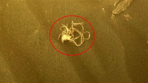 Nasa Baffled After Spotting Mystery Spaghetti Like Object On Surface