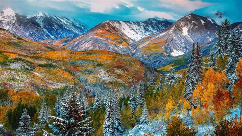 Autumn Color Snow Mountain Forest With Red And Yellow Leaves Pine Trees