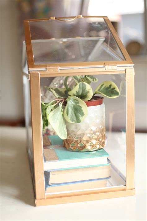 Build your own greenhouse small. DIY Gold Mini Greenhouse {Ikea Hack} - Run To Radiance
