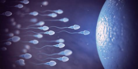 How Long Does It Take For Sperm Quality To Improve Male Ultracore Blog