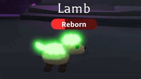 My Offer For A Neon Lamb Pet Roblox Adopt Me Youtube