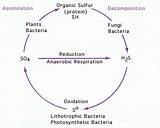 Photos of Hydrogen Sulfide Wastewater Treatment