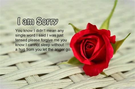 Heart Touching Forgiveness Messages To Apologize To A Loved One Tuko
