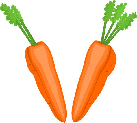 Onlinelabels Clip Art Carrot Halves
