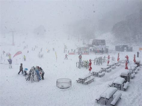 Snow in blackheath in the blue mountains. Weather Anomaly: Megablizzard and Snow Storm in NSW, Australia