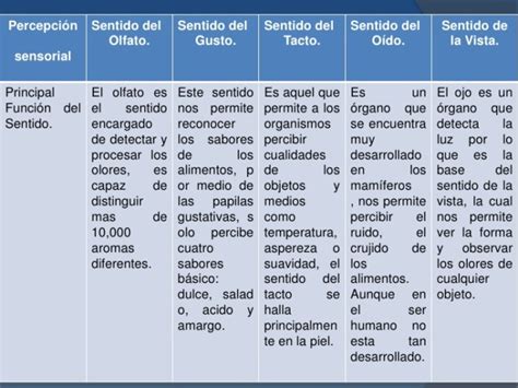 Cuadros Sinópticos Sobre Los Sentidos Y Sus órganos Cuadro Comparativo