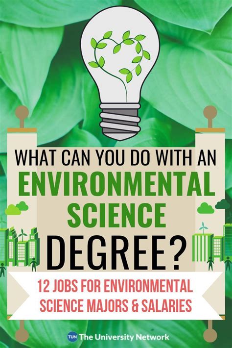 12 Jobs For Environmental Science Majors The University Network