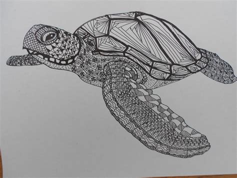 Zentangled Turtle Turtle Drawing Sea Turtle Tattoo Turtle Tattoo