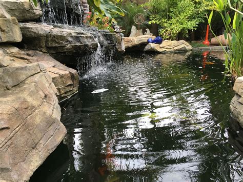 This Amazing Koi Pond Has Waterfalls That Cascade And Oxygenate The