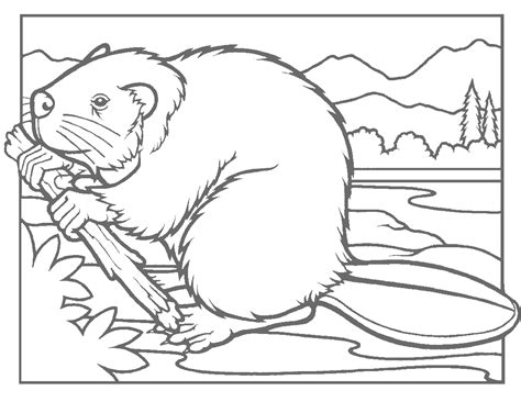 Free coloring sheets to print and download. beaver coloring page | Animal coloring pages, Coloring ...