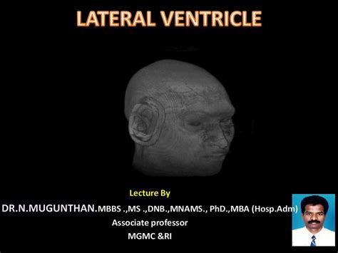 Lateral Ventricle Of Brain By Drnmugunthanms
